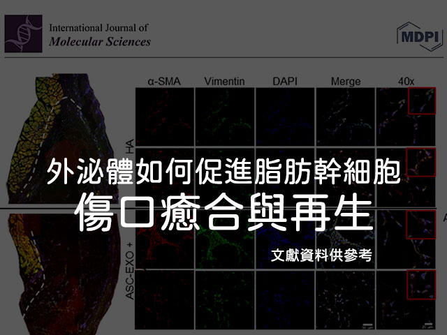 外泌體文獻資料供參考