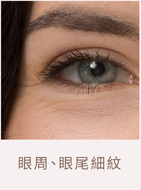 臉部老化示意圖