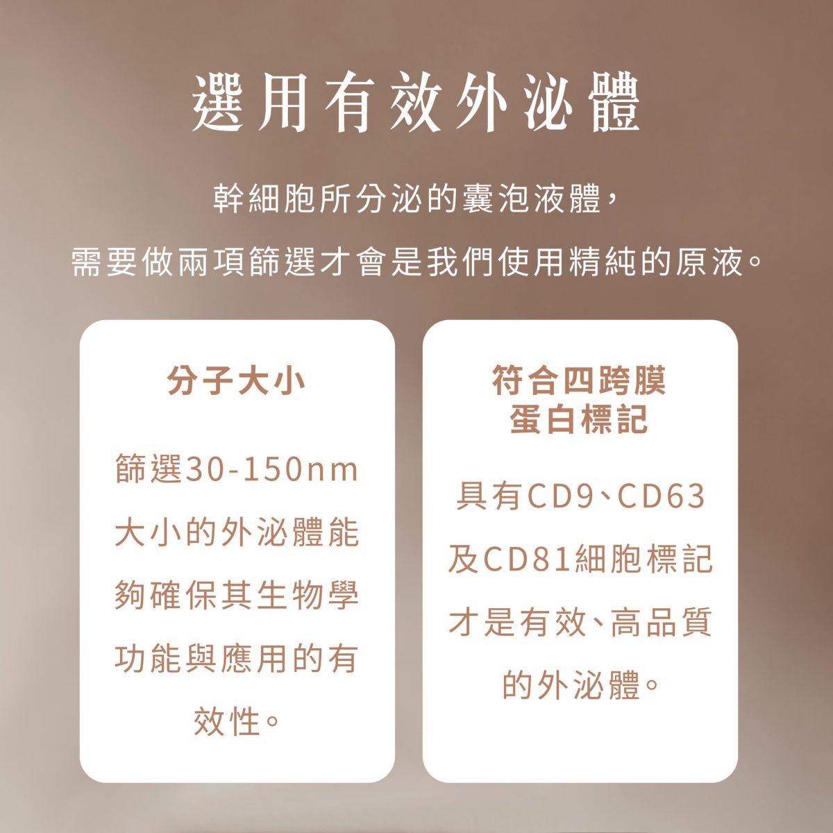 外泌體圖示