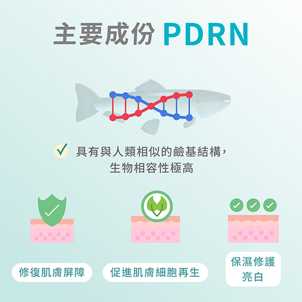 其來源是鮭魚DNA 