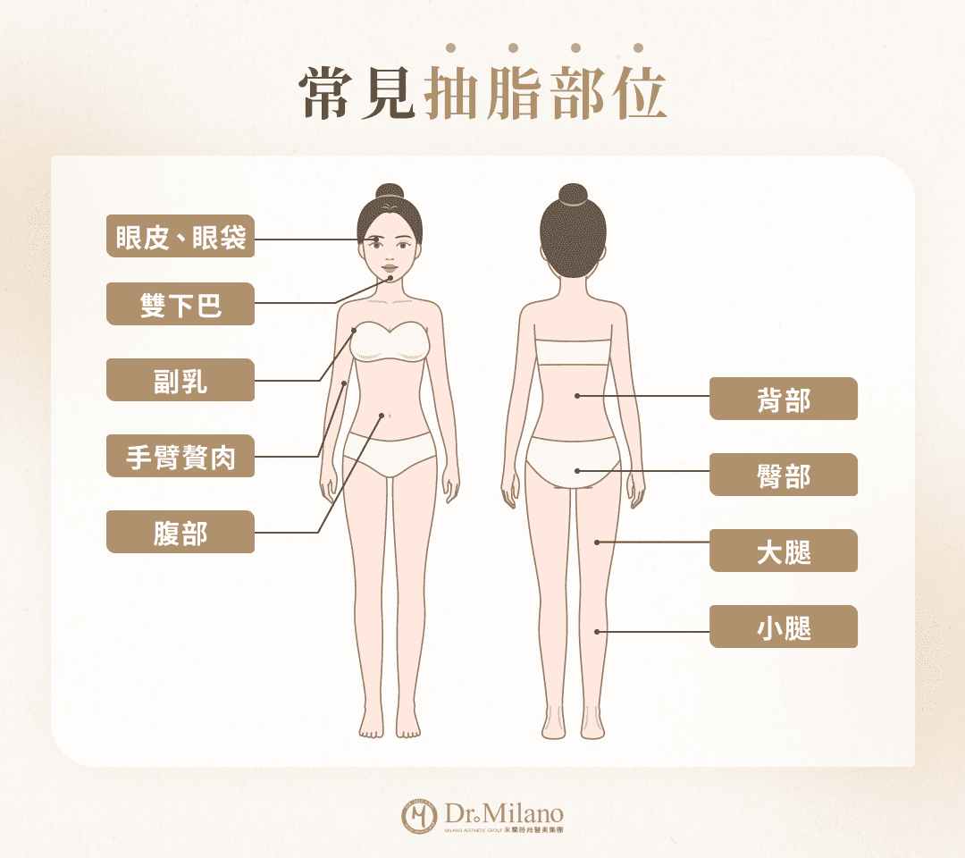 米蘭時尚診所抽脂手術：常見抽脂部位圖解（包含眼皮、雙下巴、副乳、手臂、腹部、背部、臀部、大腿與小腿）