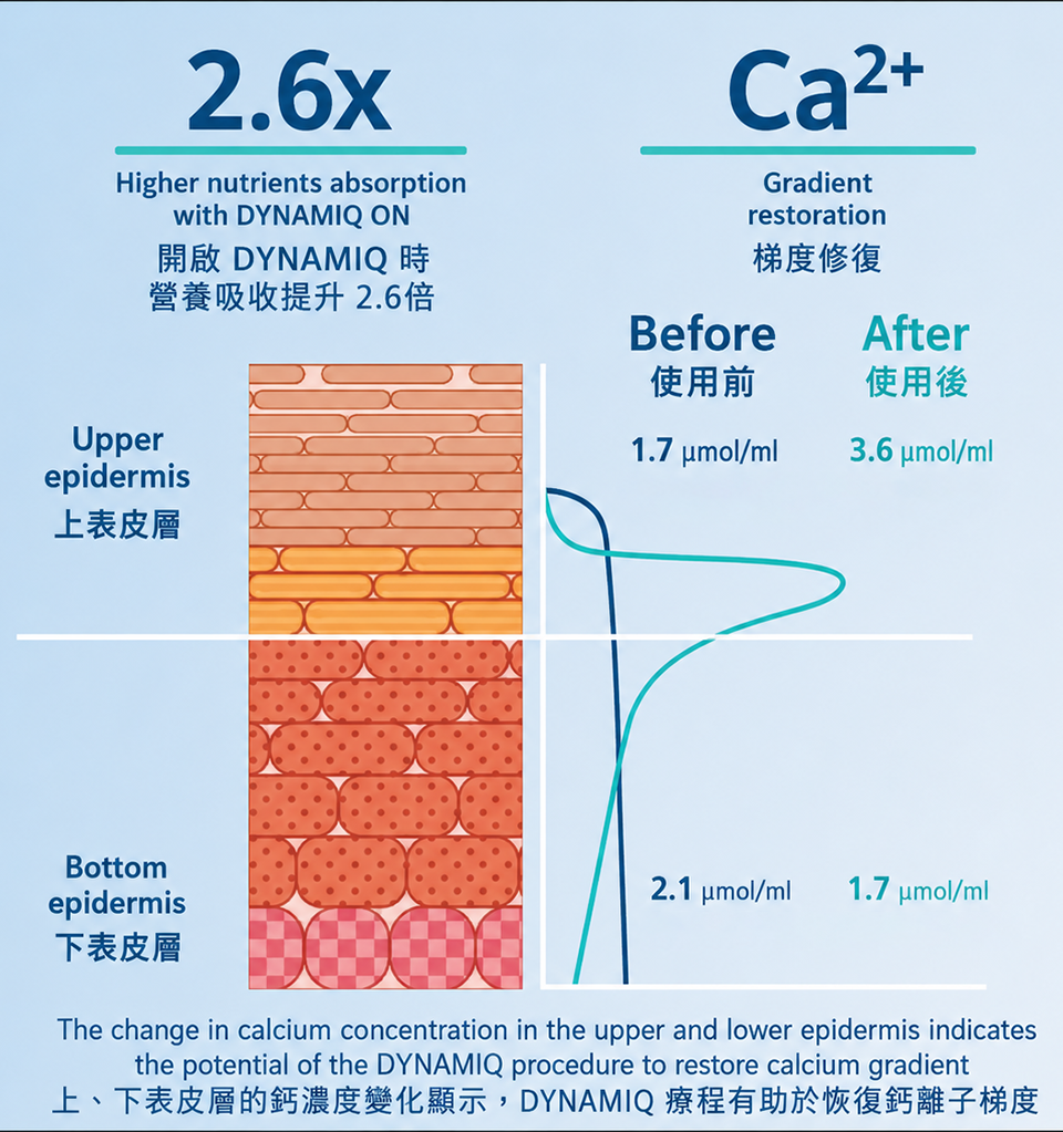 EMFUSION DYNAMiQ鈣離子梯度研究
