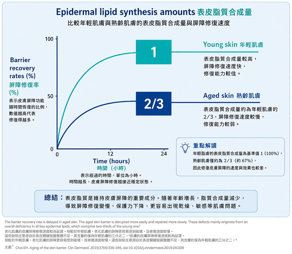 年輕肌膚與熟齡肌膚表皮脂質相關指標比較圖