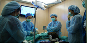 馬來西亞醫師來台米蘭時尚診所接受自體脂肪移植技術訓練及認證 圖片