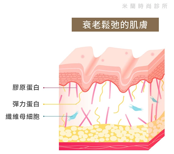 衰老鬆弛的肌膚