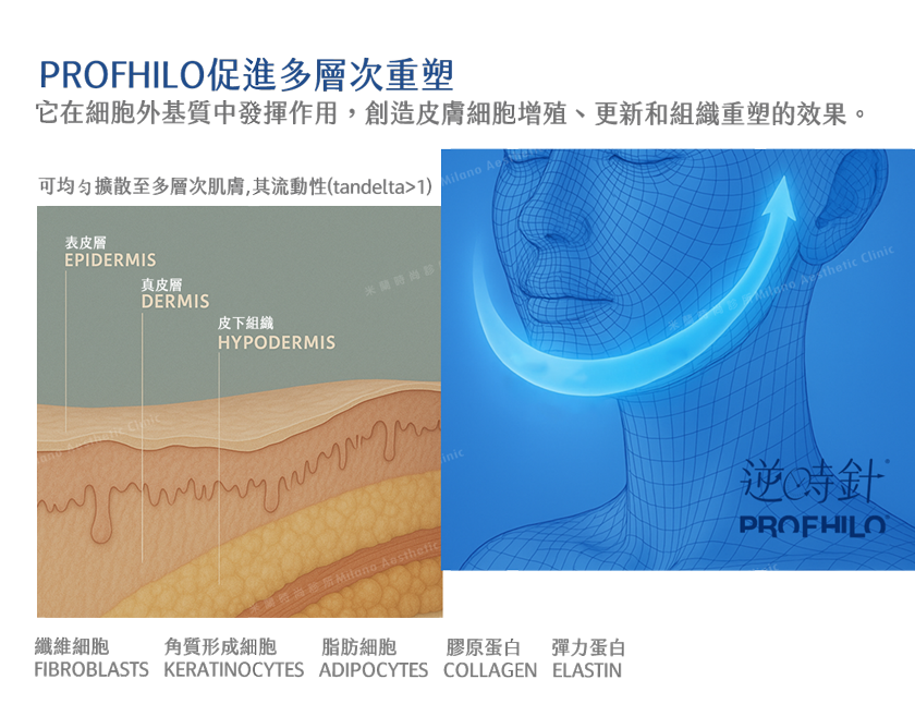 逆時針PROFHILO促進多層次重塑