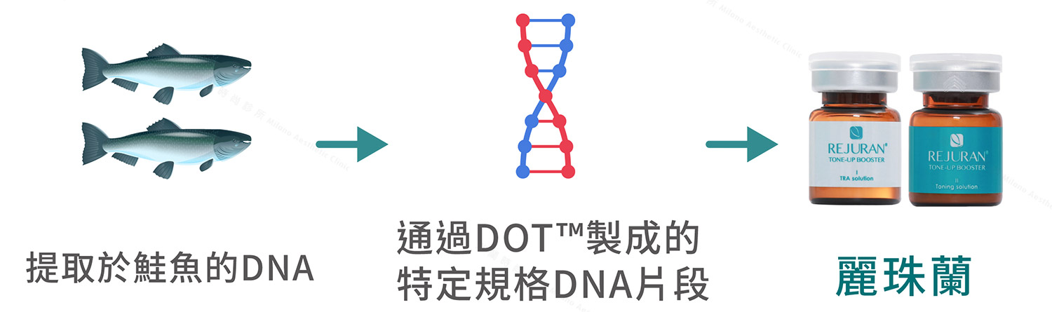 麗珠蘭的核心製程揭秘