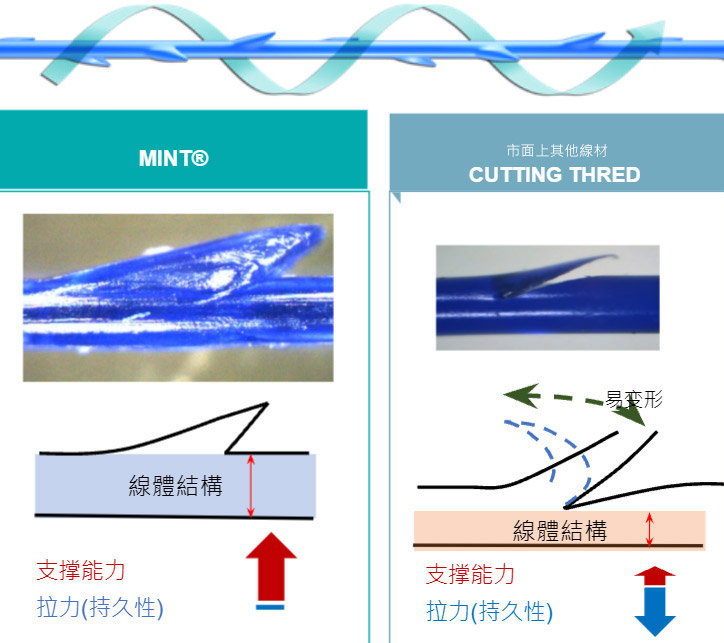 MINT秘特拉提線