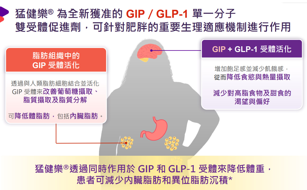 glp-1 and glp-2 Your Questions Answered About GLP-1 & GLP-2 For Weight Loss