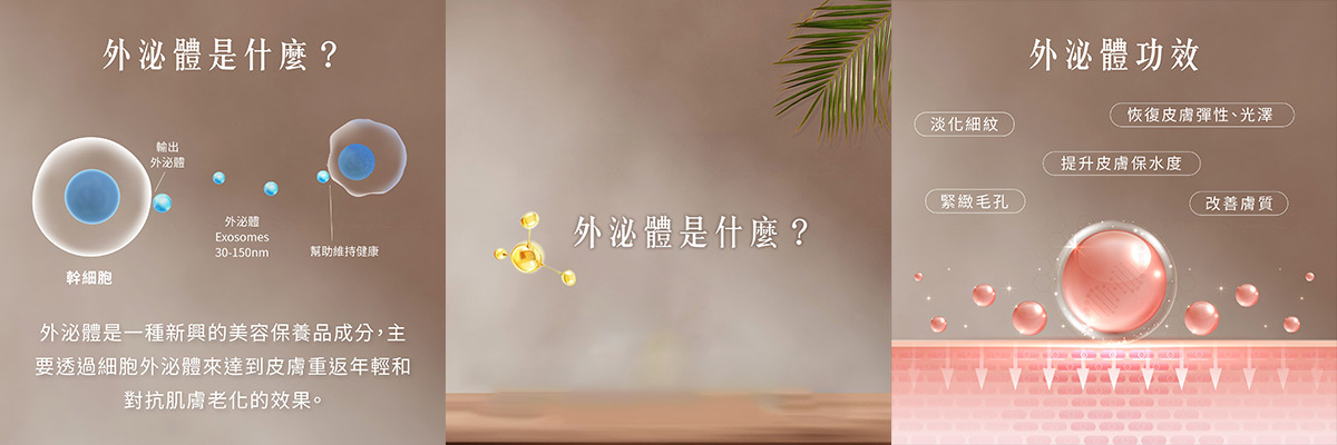 外泌體